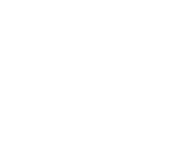 Lost or Stolen Cards